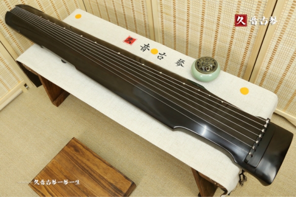 贵州省初级演奏古琴【仲尼式】